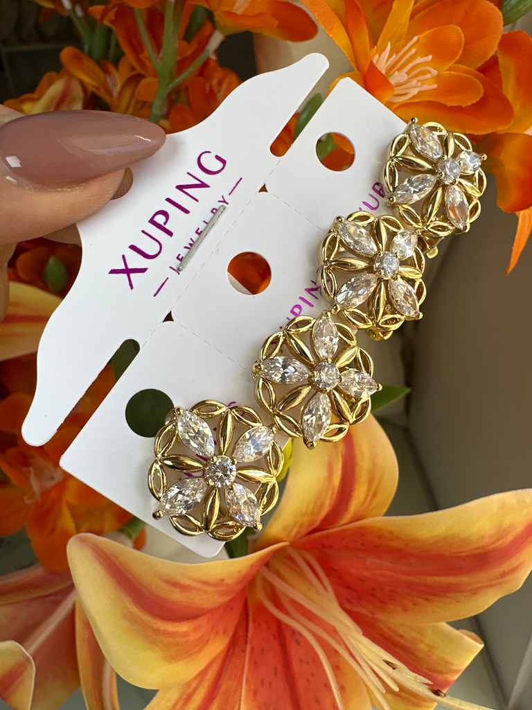[2666] Aretes Xuping